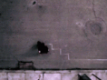 /album/fotogaleria/tumblr-ltjx3yndo31qb34kbo1-250-gif/